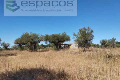 Tomt i Escalos de Cima e Lousa, Castelo Branco, Escalos de Cima e Lousa - € 33 000 | Ref: 4406/AC - foto 6