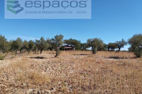 Tomt i Escalos de Cima e Lousa, Castelo Branco, Escalos de Cima e Lousa - € 33 000 | Ref: 4406/AC - foto 7