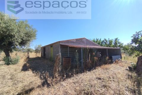Tomt i Escalos de Cima e Lousa, Castelo Branco, Escalos de Cima e Lousa - € 33 000 | Ref: 4406/AC - foto 9
