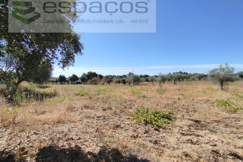 Tomt i Escalos de Cima e Lousa, Castelo Branco, Escalos de Cima e Lousa - € 33 000 | Ref: 4406/AC - foto 10