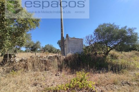 Tomt i Escalos de Cima e Lousa, Castelo Branco, Escalos de Cima e Lousa - € 33 000 | Ref: 4406/AC - foto 11
