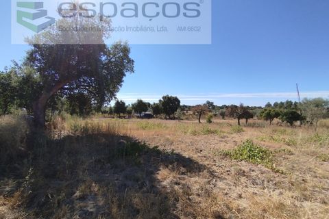 Tomt i Escalos de Cima e Lousa, Castelo Branco, Escalos de Cima e Lousa - € 33 000 | Ref: 4406/AC - foto 12