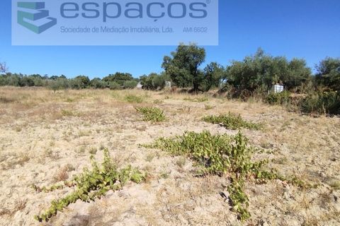 Tomt i Escalos de Cima e Lousa, Castelo Branco, Escalos de Cima e Lousa - € 33 000 | Ref: 4406/AC - foto 13