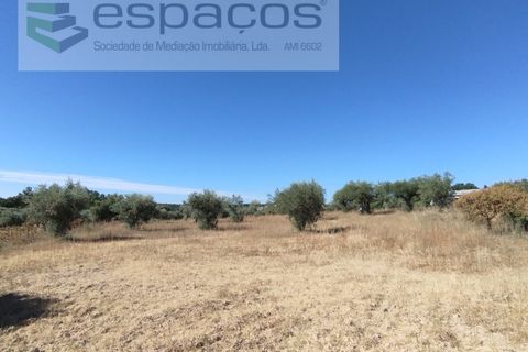 Tomt i Escalos de Cima e Lousa, Castelo Branco, Escalos de Cima e Lousa - € 33 000 | Ref: 4406/AC - foto 14