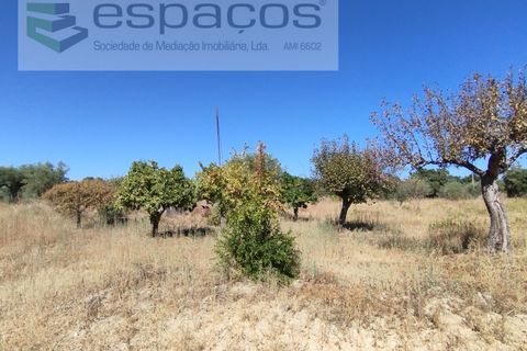 Tomt i Escalos de Cima e Lousa, Castelo Branco, Escalos de Cima e Lousa - € 33 000 | Ref: 4406/AC - foto 15