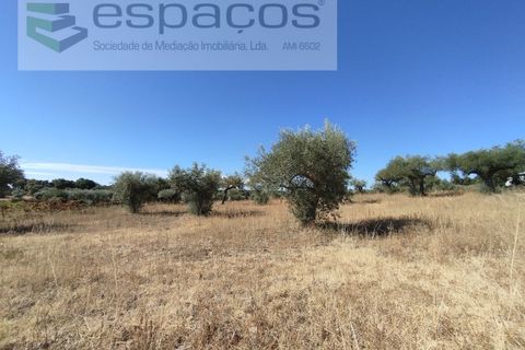 Tomt i Escalos de Cima e Lousa, Castelo Branco, Escalos de Cima e Lousa - € 33 000 | Ref: 4406/AC - foto 19