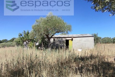 Tomt i Escalos de Cima e Lousa, Castelo Branco, Escalos de Cima e Lousa - € 33 000 | Ref: 4406/AC - foto 20