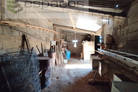 Tomt i Escalos de Cima e Lousa, Castelo Branco, Escalos de Cima e Lousa - € 33 000 | Ref: 4406/AC - foto 22
