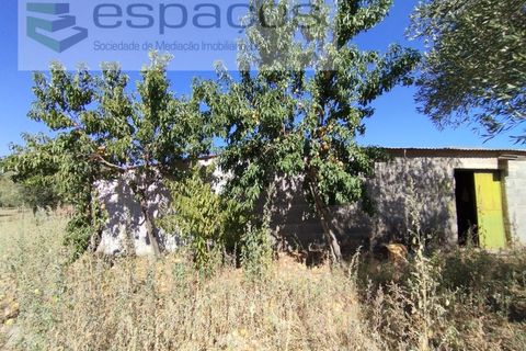Tomt i Escalos de Cima e Lousa, Castelo Branco, Escalos de Cima e Lousa - € 33 000 | Ref: 4406/AC - foto 23