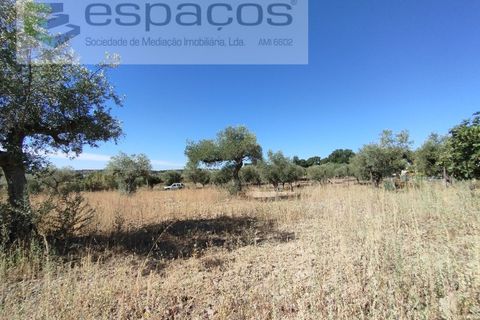 Tomt i Escalos de Cima e Lousa, Castelo Branco, Escalos de Cima e Lousa - € 33 000 | Ref: 4406/AC - foto 25