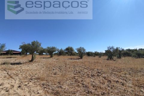 Tomt i Escalos de Cima e Lousa, Castelo Branco, Escalos de Cima e Lousa - € 33 000 | Ref: 4406/AC - foto 26