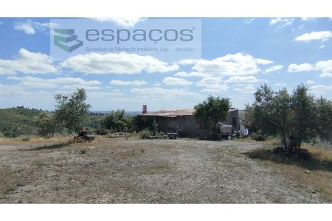Gård i Castelo Branco, Castelo Branco, Castelo Branco - € 123 000 | Ref: 5752/AC - foto 6