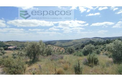 Gård i Castelo Branco, Castelo Branco, Castelo Branco - € 123 000 | Ref: 5752/AC - foto 23