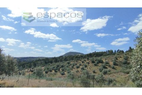 Gård i Castelo Branco, Castelo Branco, Castelo Branco - € 123 000 | Ref: 5752/AC - foto 24