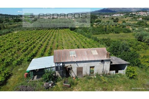 Farm i Fundao, Castelo Branco, Fundao - € 62.000 | Ref: 5547/RR_EM - foto 1