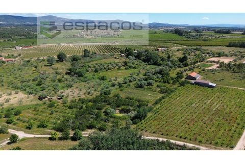 Farm i Fundao, Castelo Branco, Fundao - € 62.000 | Ref: 5547/RR_EM - foto 3