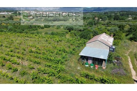 Farm i Fundao, Castelo Branco, Fundao - € 62.000 | Ref: 5547/RR_EM - foto 4