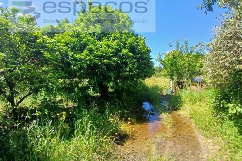 Farm i Fundao, Castelo Branco, Fundao - € 62.000 | Ref: 5547/RR_EM - foto 11