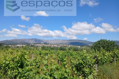 Farm i Fundao, Castelo Branco, Fundao - € 62.000 | Ref: 5547/RR_EM - foto 12