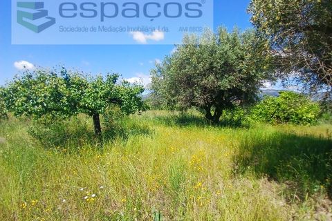 Farm i Fundao, Castelo Branco, Fundao - € 62.000 | Ref: 5547/RR_EM - foto 16
