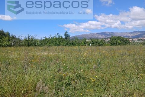 Farm i Fundao, Castelo Branco, Fundao - € 62.000 | Ref: 5547/RR_EM - foto 18