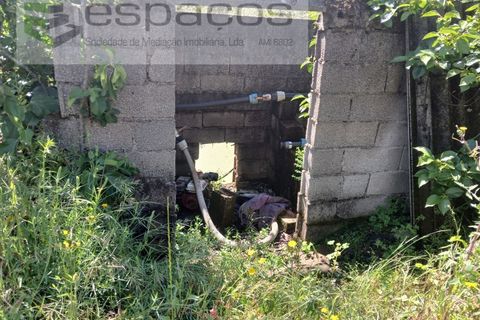 Farm i Fundao, Castelo Branco, Fundao - € 62.000 | Ref: 5547/RR_EM - foto 22