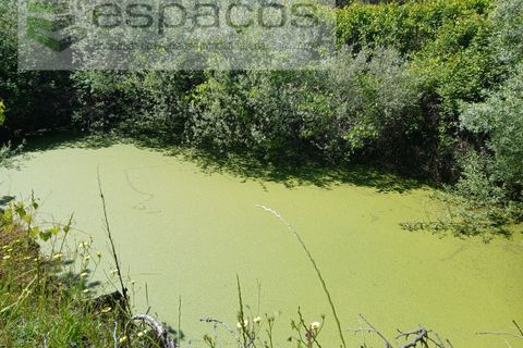 Farm i Fundao, Castelo Branco, Fundao - € 62.000 | Ref: 5547/RR_EM - foto 23