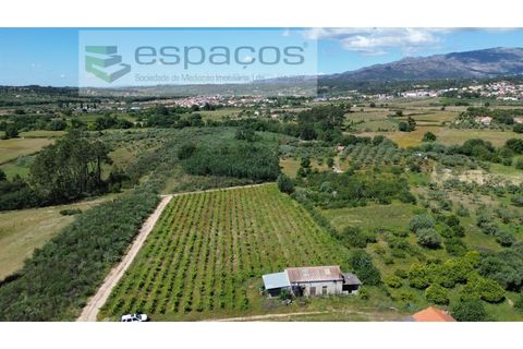 Farm i Fundao, Castelo Branco, Fundao - € 62.000 | Ref: 5547/RR_EM - foto 24