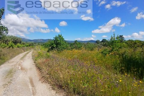 Farm i Fundao, Castelo Branco, Fundao - € 62.000 | Ref: 5547/RR_EM - foto 26