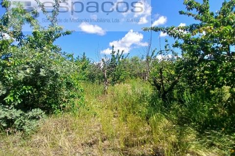 Farm i Fundao, Castelo Branco, Fundao - € 62.000 | Ref: 5547/RR_EM - foto 29