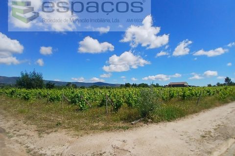 Farm i Fundao, Castelo Branco, Fundao - € 62.000 | Ref: 5547/RR_EM - foto 32