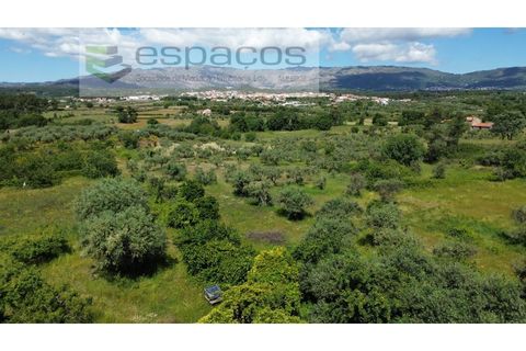 Farm i Fundao, Castelo Branco, Fundao - € 62.000 | Ref: 5547/RR_EM - foto 41