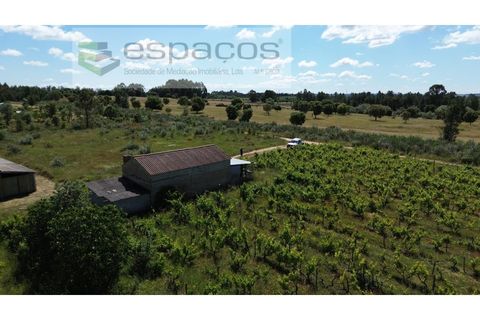 Farm i Fundao, Castelo Branco, Fundao - € 62.000 | Ref: 5547/RR_EM - foto 42