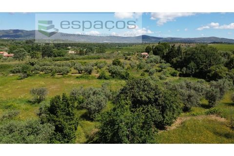 Farm i Fundao, Castelo Branco, Fundao - € 62.000 | Ref: 5547/RR_EM - foto 43