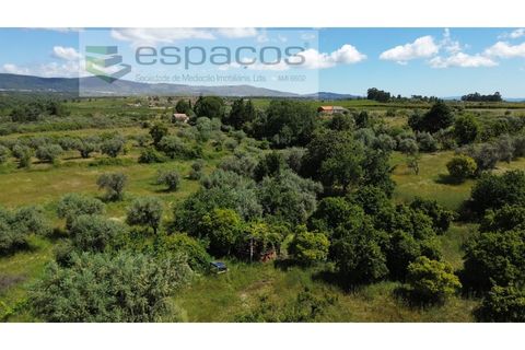Farm i Fundao, Castelo Branco, Fundao - € 62.000 | Ref: 5547/RR_EM - foto 44