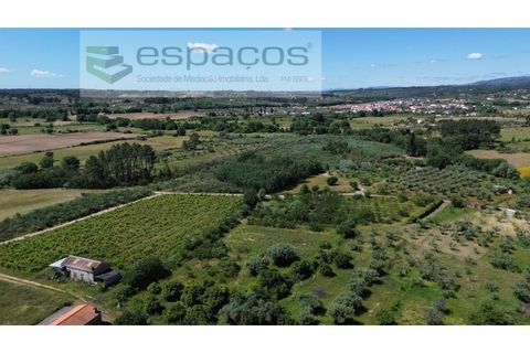 Farm i Fundao, Castelo Branco, Fundao - € 62.000 | Ref: 5547/RR_EM - foto 45