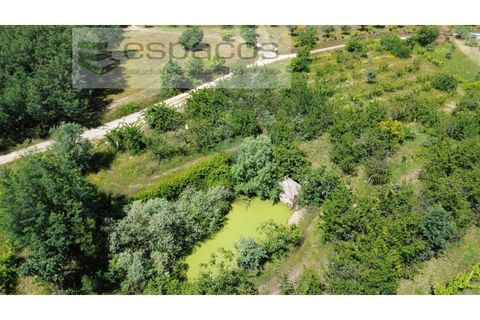 Farm i Fundao, Castelo Branco, Fundao - € 62.000 | Ref: 5547/RR_EM - foto 46