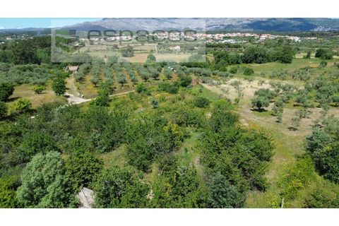 Farm i Fundao, Castelo Branco, Fundao - € 62.000 | Ref: 5547/RR_EM - foto 48