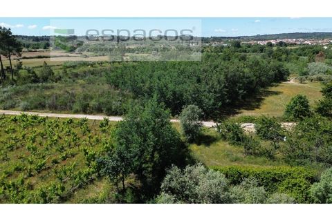 Farm i Fundao, Castelo Branco, Fundao - € 62.000 | Ref: 5547/RR_EM - foto 49