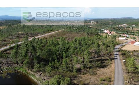 Terreno en Castelo Branco, Castelo Branco, Castelo Branco - € 23.750 | Ref: 5583/EG - photo 1
