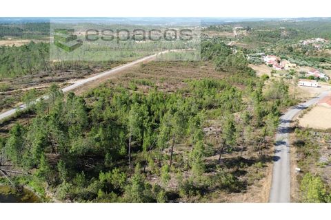 Terreno en Castelo Branco, Castelo Branco, Castelo Branco - € 23.750 | Ref: 5583/EG - photo 2