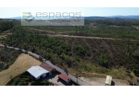 Terreno en Castelo Branco, Castelo Branco, Castelo Branco - € 23.750 | Ref: 5583/EG - photo 3