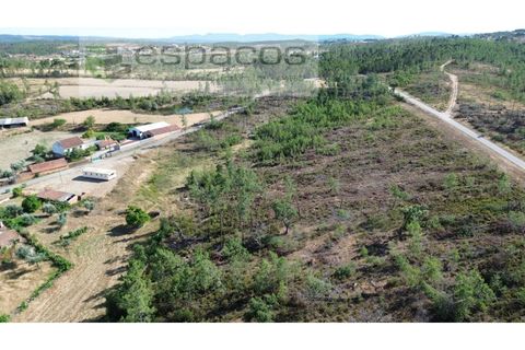 Terreno en Castelo Branco, Castelo Branco, Castelo Branco - € 23.750 | Ref: 5583/EG - photo 4