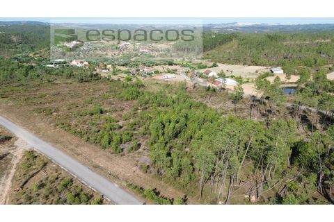 Terreno en Castelo Branco, Castelo Branco, Castelo Branco - € 23.750 | Ref: 5583/EG - photo 5