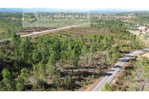 Terreno en Castelo Branco, Castelo Branco, Castelo Branco - € 23.750 | Ref: 5583/EG - photo 7
