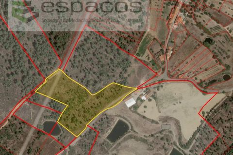 Terreno en Castelo Branco, Castelo Branco, Castelo Branco - € 23.750 | Ref: 5583/EG - photo 8