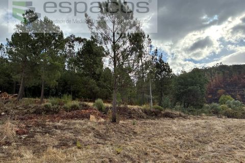 Gård i Paul, Castelo Branco, Paul - € 80 000 | Ref: 5881/CP - foto 7