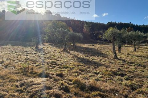 Gård i Paul, Castelo Branco, Paul - € 80 000 | Ref: 5881/CP - foto 10