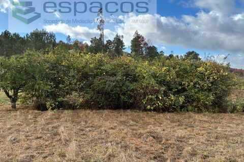 Gård i Paul, Castelo Branco, Paul - € 80 000 | Ref: 5881/CP - foto 11