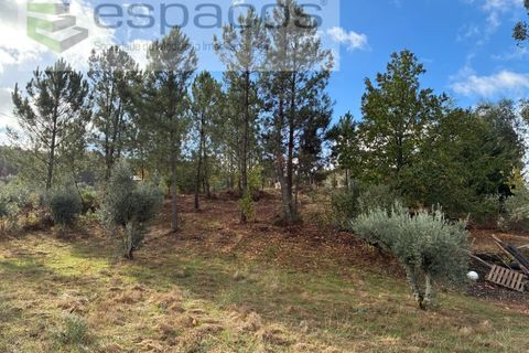 Gård i Paul, Castelo Branco, Paul - € 80 000 | Ref: 5881/CP - foto 12
